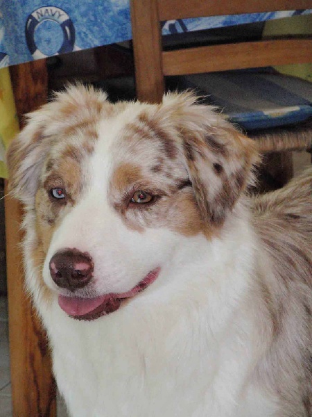 Can i be goody de la Forge Rebelle